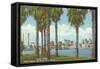 Palm Trees, Tampa, Florida-null-Framed Stretched Canvas