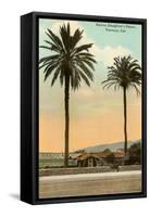 Palm Trees, Ventura-null-Framed Stretched Canvas