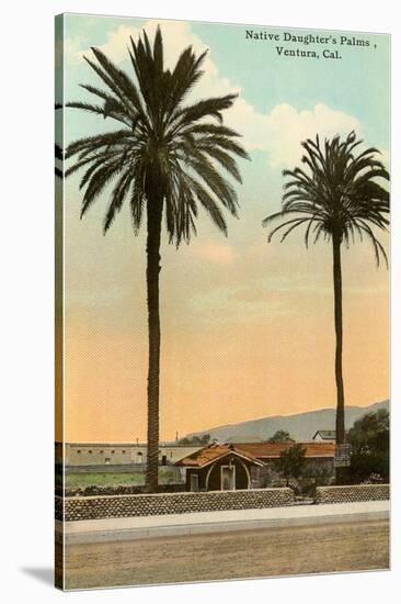 Palm Trees, Ventura-null-Stretched Canvas