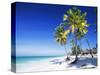 Palm Trees, White Sandy Beach and Indian Ocean, Jambiani, Island of Zanzibar, Tanzania, East Africa-Lee Frost-Stretched Canvas