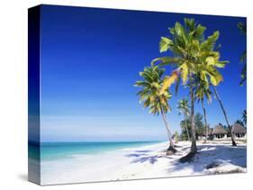 Palm Trees, White Sandy Beach and Indian Ocean, Jambiani, Island of Zanzibar, Tanzania, East Africa-Lee Frost-Stretched Canvas