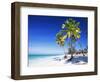 Palm Trees, White Sandy Beach and Indian Ocean, Jambiani, Island of Zanzibar, Tanzania, East Africa-Lee Frost-Framed Photographic Print