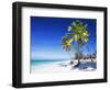 Palm Trees, White Sandy Beach and Indian Ocean, Jambiani, Island of Zanzibar, Tanzania, East Africa-Lee Frost-Framed Photographic Print