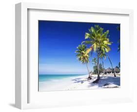 Palm Trees, White Sandy Beach and Indian Ocean, Jambiani, Island of Zanzibar, Tanzania, East Africa-Lee Frost-Framed Photographic Print