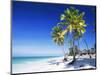 Palm Trees, White Sandy Beach and Indian Ocean, Jambiani, Island of Zanzibar, Tanzania, East Africa-Lee Frost-Mounted Photographic Print