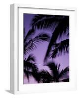 Palm Trees with Moon, Hawaii, USA-Merrill Images-Framed Photographic Print