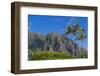 Palm Trees with Mountain Range in the Background, Tahiti, French Polynesia-null-Framed Photographic Print