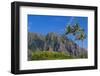 Palm Trees with Mountain Range in the Background, Tahiti, French Polynesia-null-Framed Photographic Print