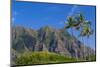 Palm Trees with Mountain Range in the Background, Tahiti, French Polynesia-null-Mounted Photographic Print