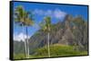 Palm Trees with Mountain Range in the Background, Tahiti, French Polynesia-null-Framed Stretched Canvas