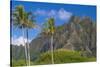 Palm Trees with Mountain Range in the Background, Tahiti, French Polynesia-null-Stretched Canvas