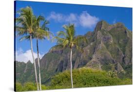 Palm Trees with Mountain Range in the Background, Tahiti, French Polynesia-null-Stretched Canvas