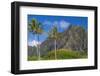 Palm Trees with Mountain Range in the Background, Tahiti, French Polynesia-null-Framed Photographic Print