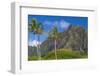 Palm Trees with Mountain Range in the Background, Tahiti, French Polynesia-null-Framed Photographic Print