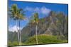 Palm Trees with Mountain Range in the Background, Tahiti, French Polynesia-null-Mounted Photographic Print