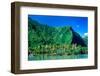 Palm Trees with Mountain Range in the Background, Tahiti, French Polynesia-null-Framed Photographic Print