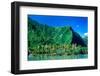 Palm Trees with Mountain Range in the Background, Tahiti, French Polynesia-null-Framed Photographic Print