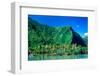 Palm Trees with Mountain Range in the Background, Tahiti, French Polynesia-null-Framed Photographic Print