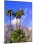 Palm Trees with San Jacinto Peak in Background, Palm Springs, California, USA-DeFreitas Michael-Mounted Photographic Print