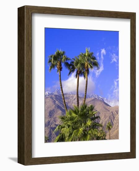 Palm Trees with San Jacinto Peak in Background, Palm Springs, California, USA-DeFreitas Michael-Framed Photographic Print