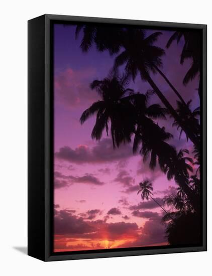 Palm Trees with Sunset, Hawaii-Walter Bibikow-Framed Stretched Canvas