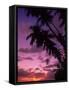 Palm Trees with Sunset, Hawaii-Walter Bibikow-Framed Stretched Canvas