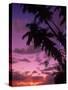 Palm Trees with Sunset, Hawaii-Walter Bibikow-Stretched Canvas