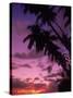 Palm Trees with Sunset, Hawaii-Walter Bibikow-Stretched Canvas