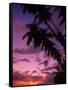 Palm Trees with Sunset, Hawaii-Walter Bibikow-Framed Stretched Canvas