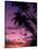 Palm Trees with Sunset, Hawaii-Walter Bibikow-Stretched Canvas