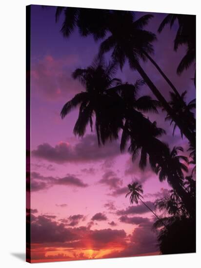 Palm Trees with Sunset, Hawaii-Walter Bibikow-Stretched Canvas