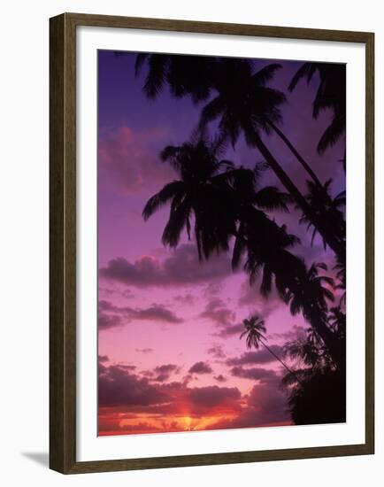 Palm Trees with Sunset, Hawaii-Walter Bibikow-Framed Premium Photographic Print