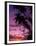Palm Trees with Sunset, Hawaii-Walter Bibikow-Framed Premium Photographic Print