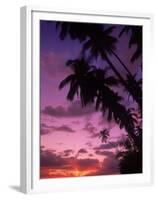 Palm Trees with Sunset, Hawaii-Walter Bibikow-Framed Premium Photographic Print