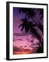 Palm Trees with Sunset, Hawaii-Walter Bibikow-Framed Premium Photographic Print