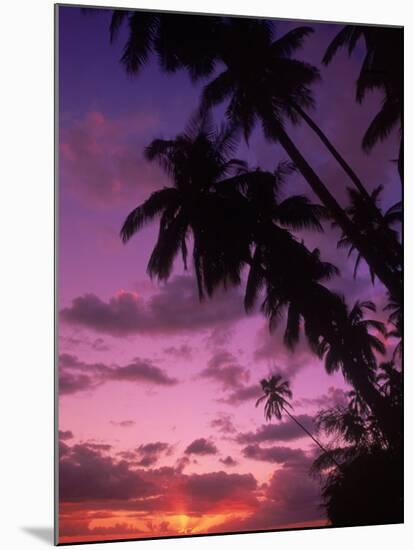 Palm Trees with Sunset, Hawaii-Walter Bibikow-Mounted Premium Photographic Print