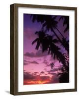 Palm Trees with Sunset, Hawaii-Walter Bibikow-Framed Photographic Print