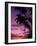 Palm Trees with Sunset, Hawaii-Walter Bibikow-Framed Photographic Print