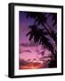 Palm Trees with Sunset, Hawaii-Walter Bibikow-Framed Photographic Print