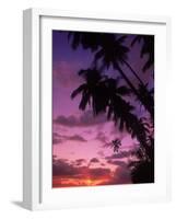 Palm Trees with Sunset, Hawaii-Walter Bibikow-Framed Photographic Print