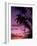 Palm Trees with Sunset, Hawaii-Walter Bibikow-Framed Photographic Print