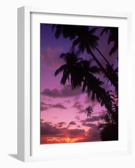 Palm Trees with Sunset, Hawaii-Walter Bibikow-Framed Photographic Print