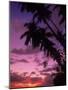 Palm Trees with Sunset, Hawaii-Walter Bibikow-Mounted Photographic Print