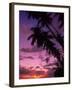 Palm Trees with Sunset, Hawaii-Walter Bibikow-Framed Photographic Print