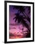 Palm Trees with Sunset, Hawaii-Walter Bibikow-Framed Photographic Print