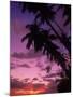 Palm Trees with Sunset, Hawaii-Walter Bibikow-Mounted Photographic Print