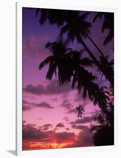 Palm Trees with Sunset, Hawaii-Walter Bibikow-Framed Photographic Print