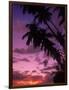 Palm Trees with Sunset, Hawaii-Walter Bibikow-Framed Photographic Print