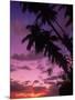 Palm Trees with Sunset, Hawaii-Walter Bibikow-Mounted Photographic Print