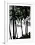 Palm Trees-Philippe Body-Framed Art Print